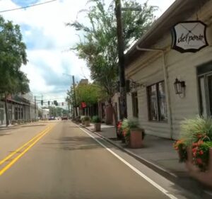 Small town street with shops and plants. Small town street with shops and plants.